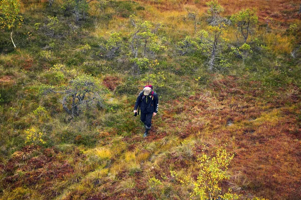 Letonya. Güzel renklerde swamp Kemeri.
