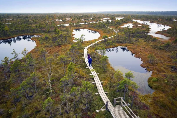 Латвия. Красивые цвета на болоте Кемери . Стоковое Фото