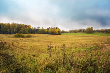 Sonbahar manzara Cesis town, Letonya yakınındaki