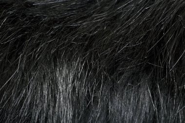 Kürk deri doku arka plan   