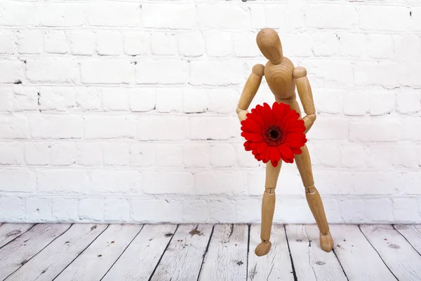 Trä skyltdocka med röda gerbera blomma — Stockfoto