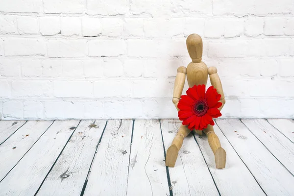 Manequim de madeira com flor de gerbera vermelha — Fotografia de Stock