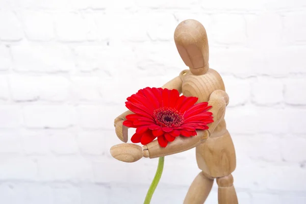 Manequim de madeira com flor de gerbera vermelha — Fotografia de Stock