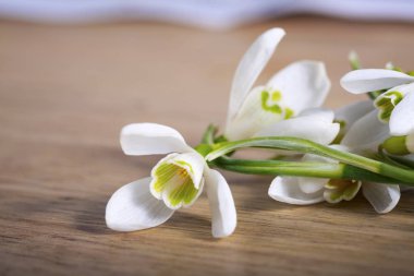 kardamlası çiçekleri arka plan