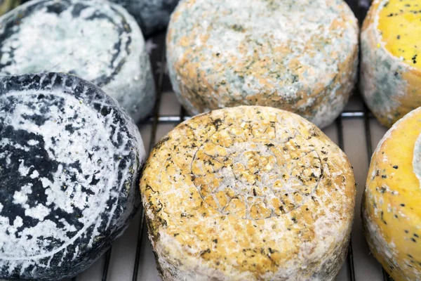 リトアニアのクライペダで伝統的な製品のフェアで手作りの地元のチーズの品揃え — ストック写真