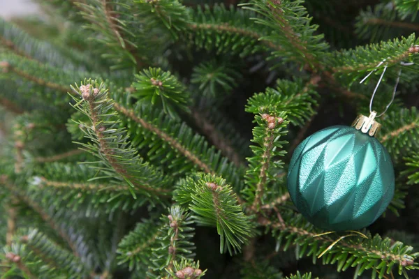 Arbre de Noël avec une boule — Photo