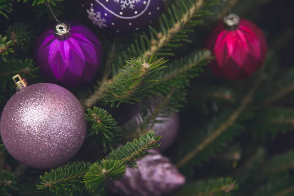 Yeni yıl süsleri çam ağacı üzerinde kırmızı mor ve pembe renklerde — Stok fotoğraf