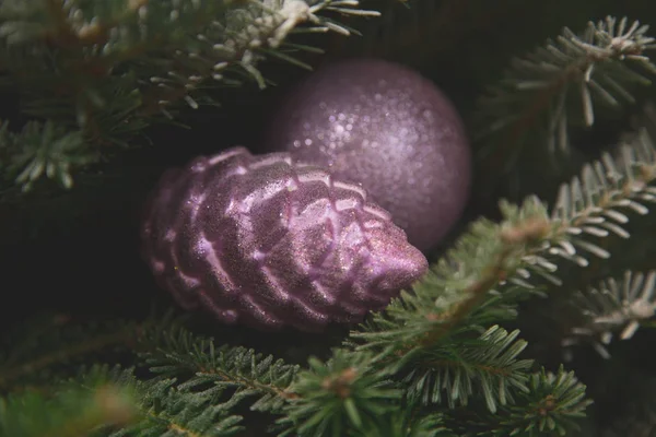 Une boule rose et un cône de pin sur un sapin — Photo