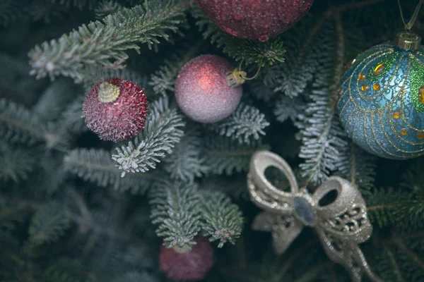 Köknar ağacı dalları topları ve oyuncak yay ile dekore edilmiş — Stok fotoğraf