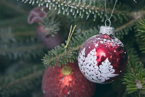 New year ornaments in red colors on a fir tree — Stock Photo, Image