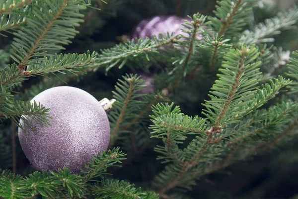 Une boule rose sur un sapin — Photo