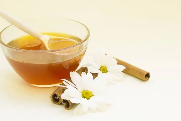 Natuurlijke ingrediënten van de zorg van de huid en schoonheid — Stockfoto