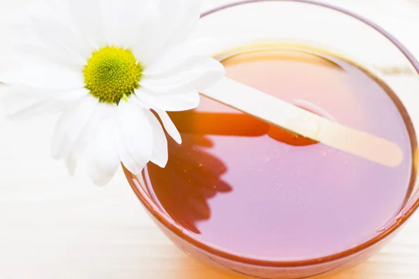 꿀 한 카밀레와의 그릇 — 스톡 사진