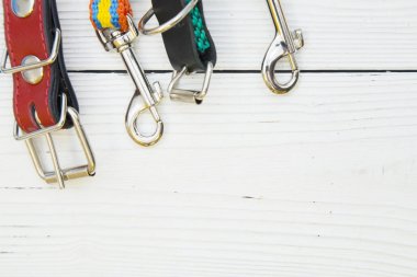 Evde beslenen hayvan kaygı ve yürüyüş kavramı