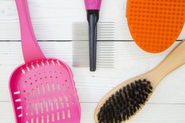 Evde beslenen hayvan kaygı ve kavram damat