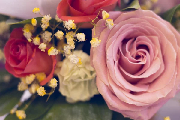 Una rosa rosa en un primer plano — Foto de Stock