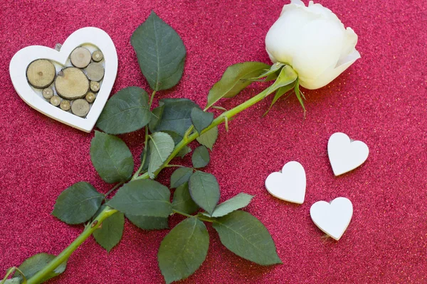 Concepto de San Valentín con una rosa blanca — Foto de Stock