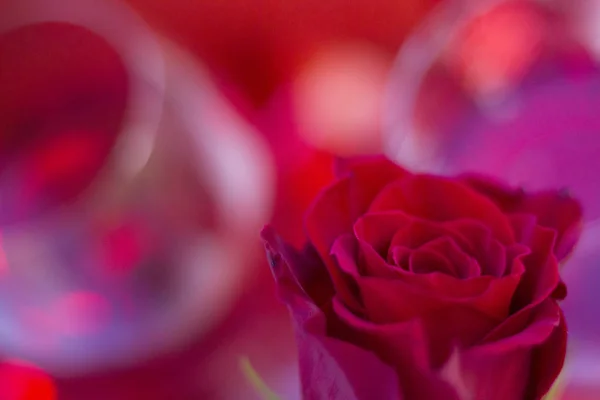 Dos copas de vino tinto con una rosa roja — Foto de Stock