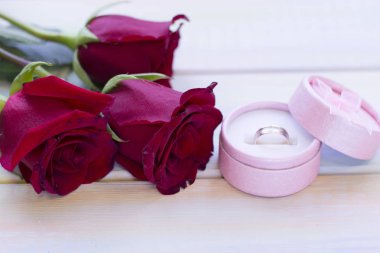 Kırmızı kadife gül ile tatil kavramı