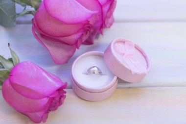 Pembe Gül ile tatil kavramı