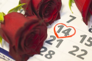 Bir takvim tatil kavramı