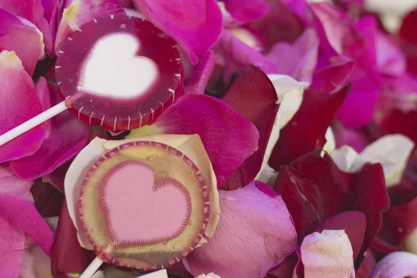 El concepto de vacaciones con pétalos de rosa — Foto de Stock