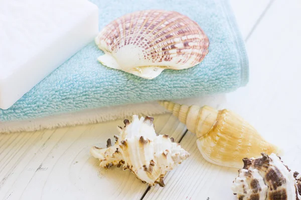 Sea shell spa concept — Stock Photo, Image