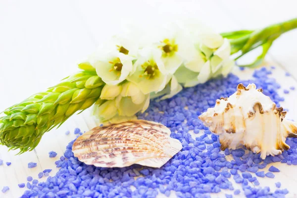 Spa concept with a candle — Stock Photo, Image