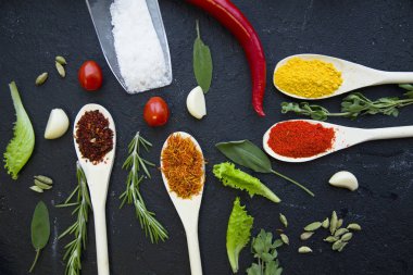 Specis ve siyah arka plan üzerinde otlar