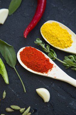 Specis ve siyah arka plan üzerinde otlar