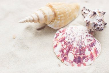 Kum zemin üzerine tatil aksesuarları