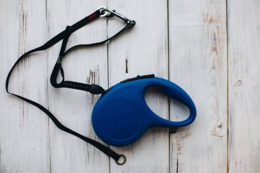 Bir yürüyüş için a evde beslenen hayvan almak