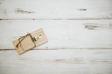 Bir kase köpek maması ve aperatifler