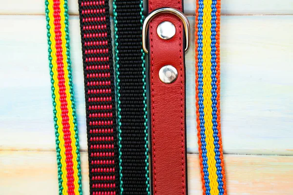 Dog collars on wooden background