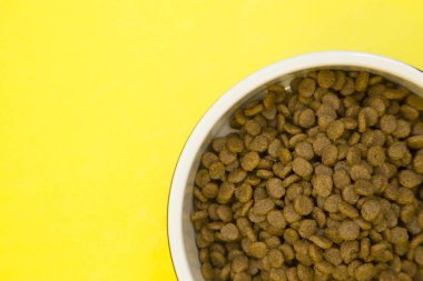 Evde beslenen hayvan beslenme kavramı.