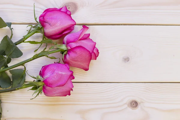 Pink roses on wooden background — Stock Photo, Image
