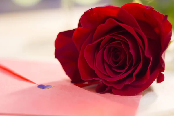 El concepto de San Valentín con rosa roja — Foto de Stock