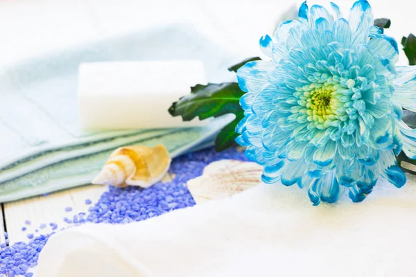Spa concept with a blue flower — Stock Photo, Image