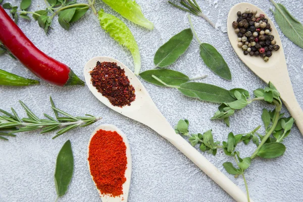 Baharatlar ve otlar ışık taş zemin üzerine set