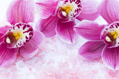 Spa ve sağlık seti