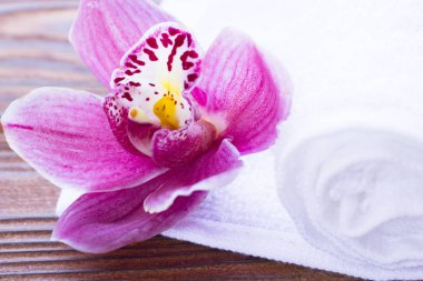 Spa ve sağlık seti