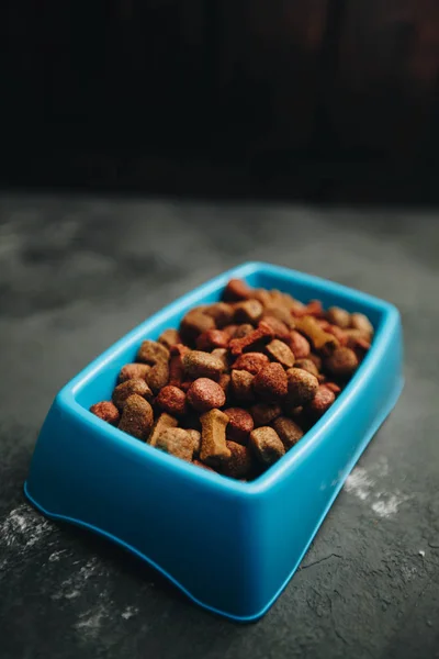Comida seca para mascotas en bowl — Foto de Stock