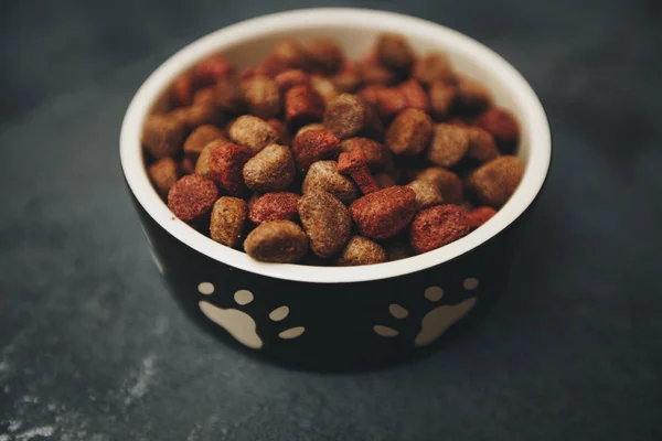 Comida seca para mascotas en bowl — Foto de Stock