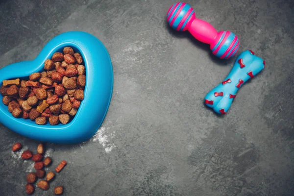 Сухой корм для животных в миске — стоковое фото