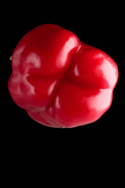 siyah üzerine izole kırmızı dolmalık biber