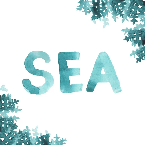 Beyaz Arka Planda Izole Edilmiş Bir Mercan Çerçeveli Suluboya Çizimi — Stok fotoğraf