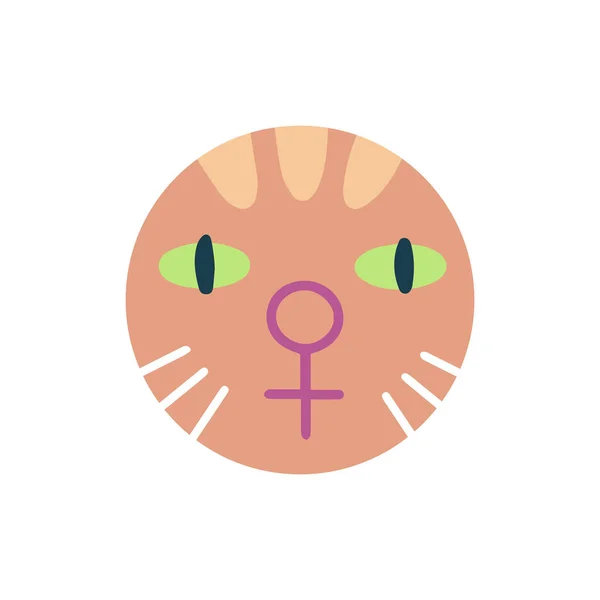 Hikayeler Kapak Avatar Emoji Feminizm Şirin Komik Kedi Suratı Beyaz — Stok Vektör
