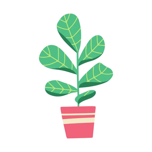 Rostlina Květináči Krásná Ručně Kreslená Vektorová Ilustrace Fíkem Fiddle Leaf — Stockový vektor