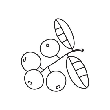 Tek nesneli vektör stok çizimi: bitki, el çizimi, karalama tarzı. Örnek elementler beyazda izole edildi. Çizgi çizgisi, özet.