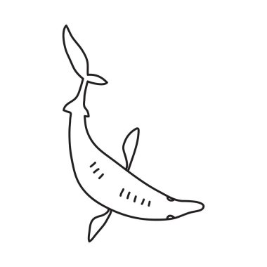 Tek nesneli vektör stok çizimi: hayvan, el çizimi, karalama tarzı. Örnek elementler beyazda izole edildi. Çizgi çizgisi, özet.